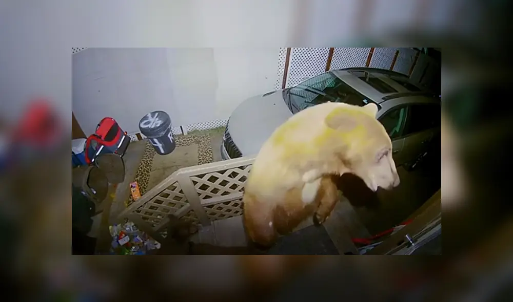 Desliza hacia la izquierda para ver las imágenes del viral de Facebook. Foto: Captura.