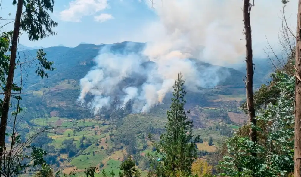 Labor de sofocamiento cuenta con el apoyo de bomberos, personal municipal, entre otros. Foto: difusión