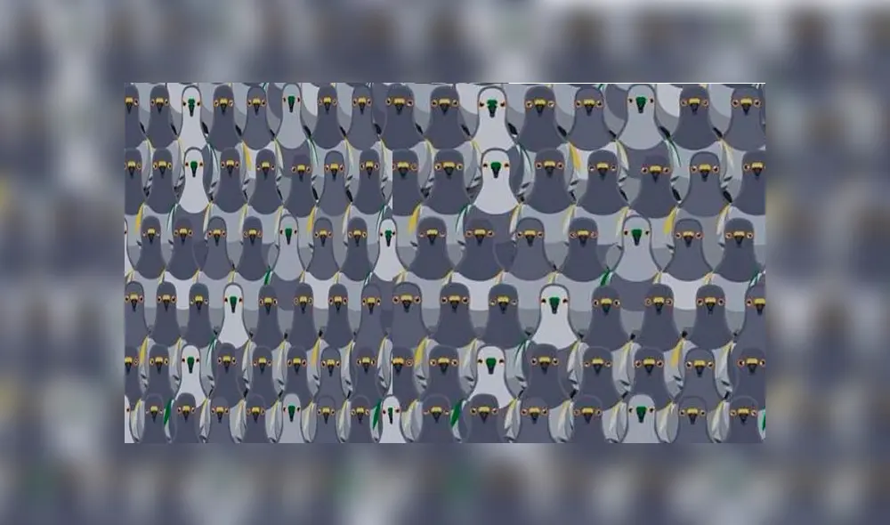 Hallar al gato escondido en la figura: nuevo reto viral genera furor en redes sociales [FOTOS]