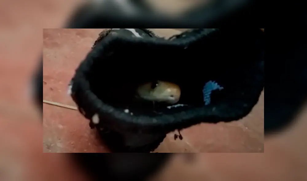 Desliza la imagen compartida en YouTube para verlas todas. Desliza la imagen compartida en YouTube para verlas todas.