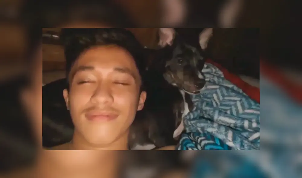 En Facebook, un perro llamó la atención de su dueño por sus singulares movimientos al ritmo de ‘Billie Jean’.