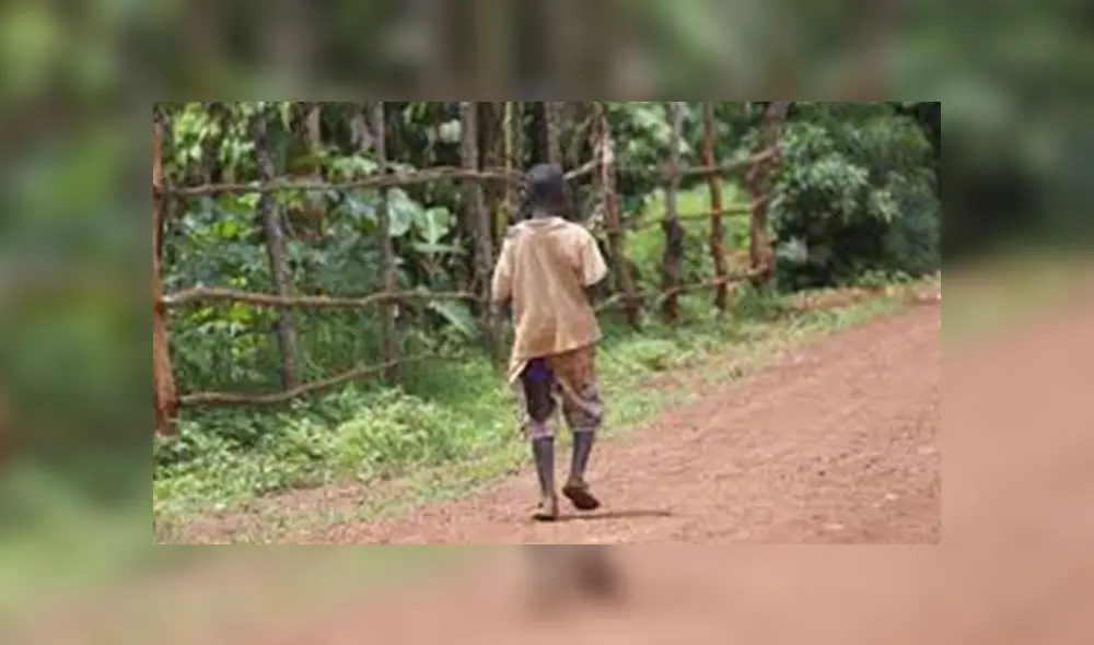 La leche de las cucarachas combate el hambre. Foto: PxHere.