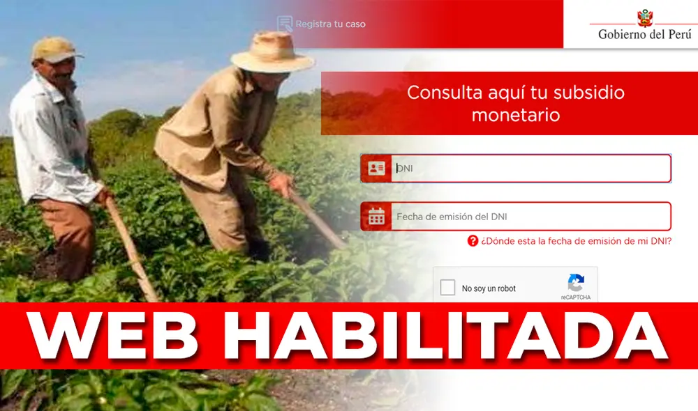 El Bono Rural beneficiará a 1 millón 98 mil hogares de zonas rurales en condición de pobreza extrema. El Bono Rural beneficiará a 1 millón 98 mil hogares de zonas rurales en condición de pobreza extrema.