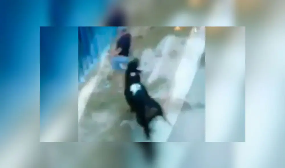 Hombre fue embestido por el toro en medio de la multitud. Foto: Difusión.