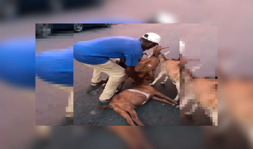 palabra de Dios palabra de Dios