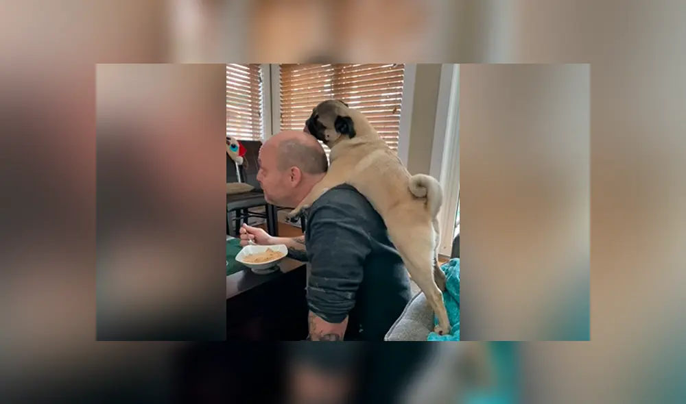 YouTube viral: su padre no quería perros en casa y ella lo descubre en una tierna escena con su mascota