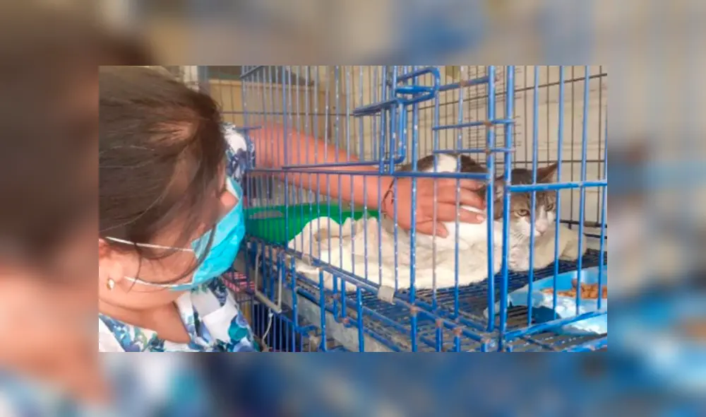 Desliza la imagen de Facebook para verlas todas.