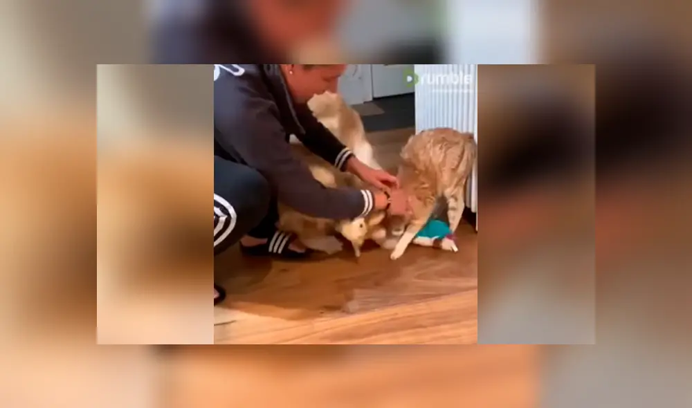 Desliza para ver los momentos más divertidos del video que se hizo viral en YouTube. Desliza para ver los momentos más divertidos del video que se hizo viral en YouTube.