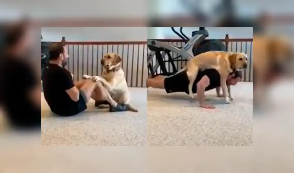 Desliza a la izquierda para ver el divertido entrenamiento que realiza un hombre junto a su mascota. (Foto: captura)