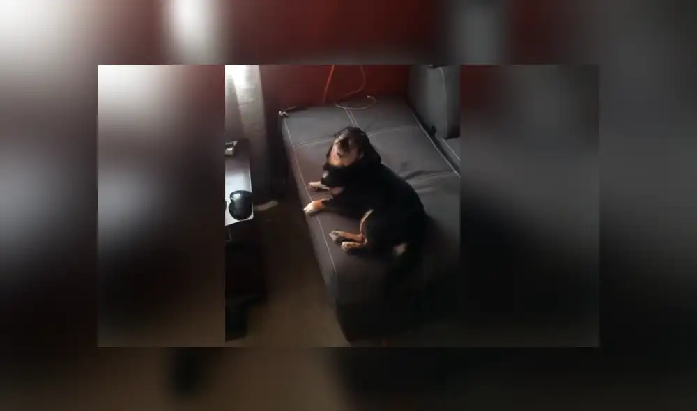 Desliza para ver los momentos más divertidos del video que se hizo viral en YouTube. Desliza para ver los momentos más divertidos del video que se hizo viral en YouTube.