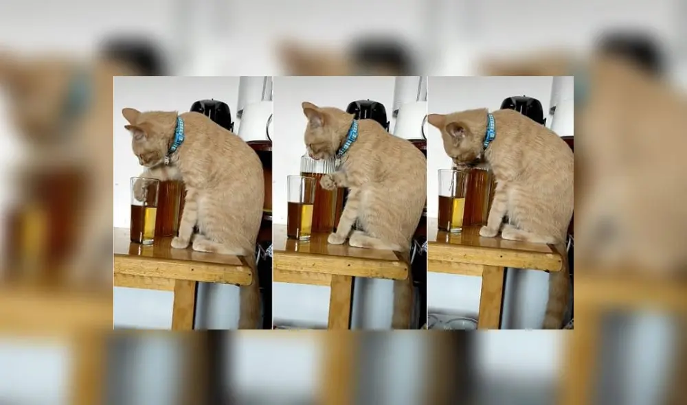 Foto: captura de TikTok