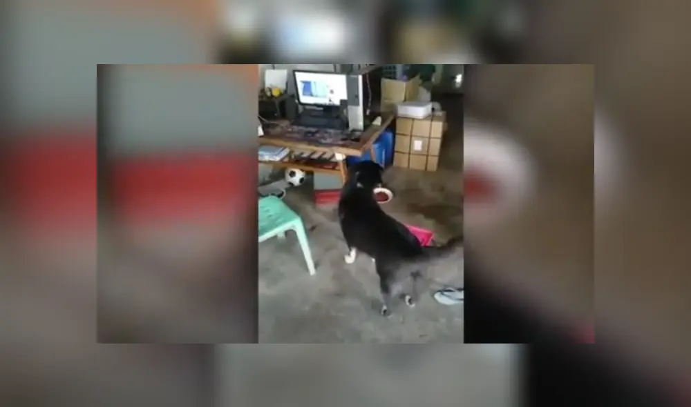 Desliza hacia la izquierda para ver más del video viral. Fotocaptura: YouTube Desliza hacia la izquierda para ver más del video viral. Fotocaptura: YouTube