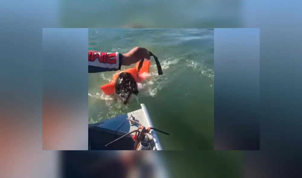 Hombre encuentra extraño ser ahogado en lago, arroja salvavidas y pasa lo inesperado [VIDEO]