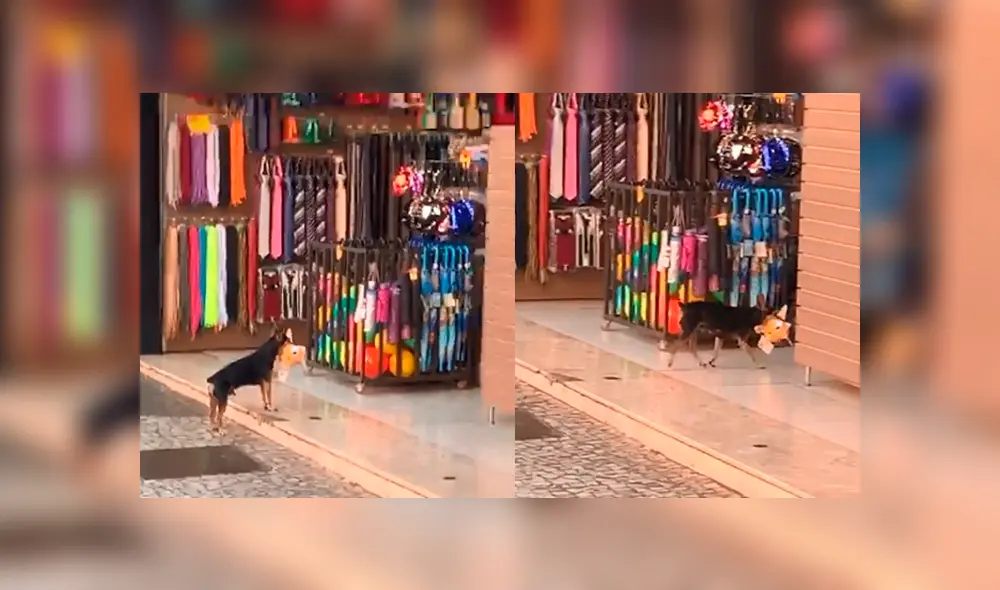 Desliza para ver los detalles del video viral de Facebook. Foto: Captura.