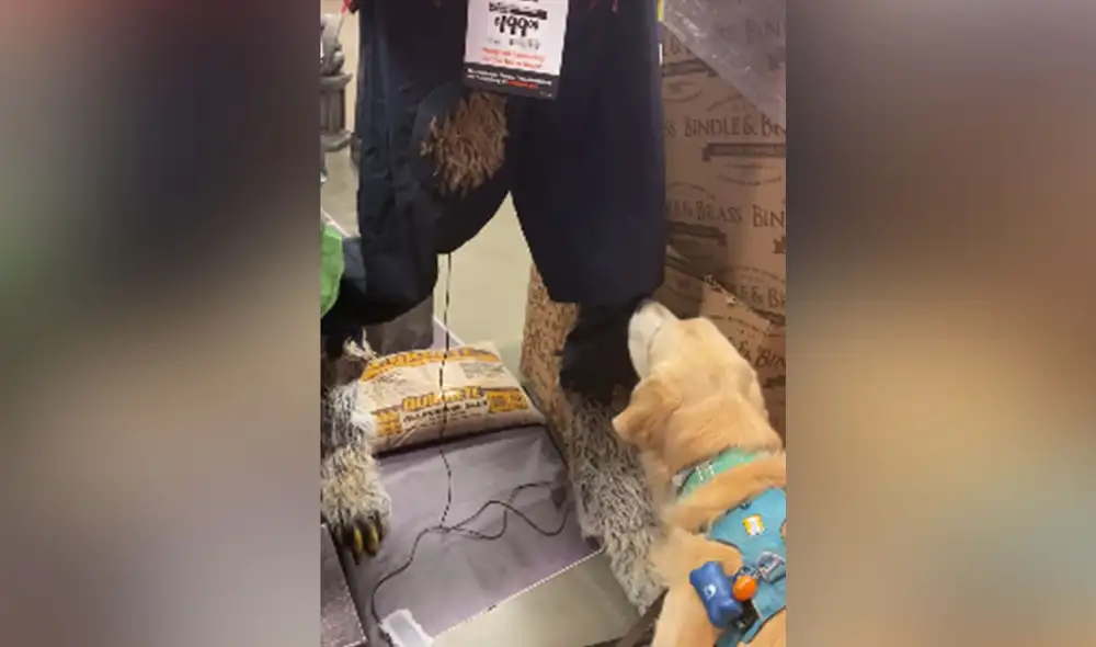 Desliza para ver más imágenes de la inesperada reacción que tuvo el can después de ver un enorme muñeco. (Foto: captura / YouTube)