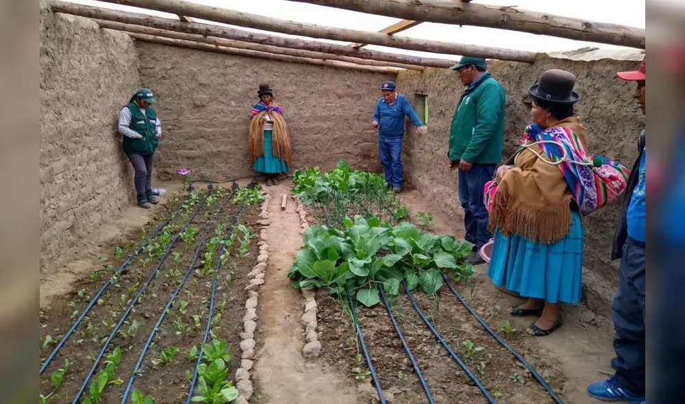 Implementan fitotoldos para manejo de cultivos ante bajas temperaturas