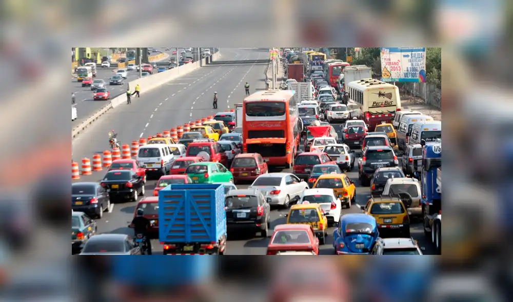 Cinco problemas ambientales que deberán solucionar los nuevos alcaldes