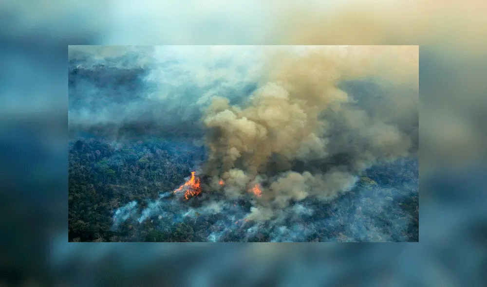Incendio forestal - consecuencias