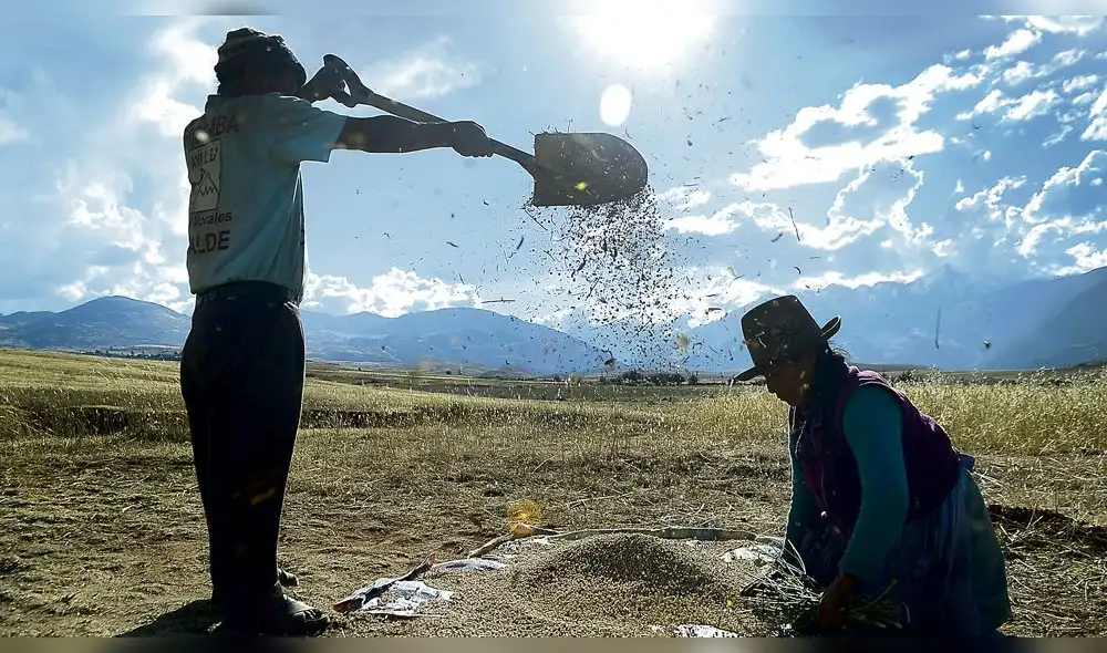 Gobierno publica Ley de Fortalecimiento del Banco Agropecuario