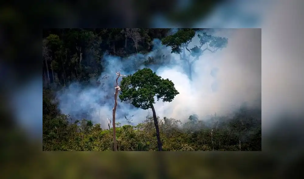Los estragos que ha dejado el incendio en la Amazonía preocuparon al presidente de Colombia. Foto: AFP / R. Alves Los estragos que ha dejado el incendio en la Amazonía preocuparon al presidente de Colombia. Foto: AFP / R. Alves