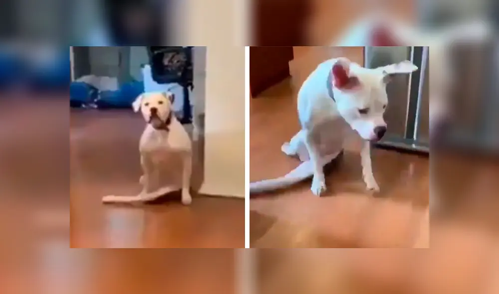 Desliza para ver todas las imágenes de Facebook. Foto: captura