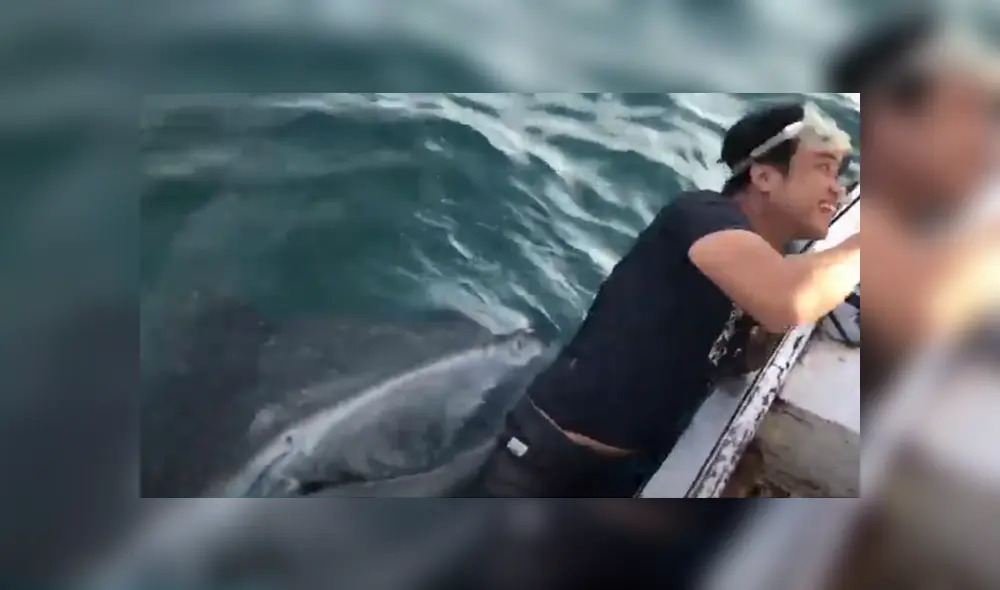 Desliza hacia la izquierda para ver las imágenes del viral de YouTube. Foto: Captura. Desliza hacia la izquierda para ver las imágenes del viral de YouTube. Foto: Captura.