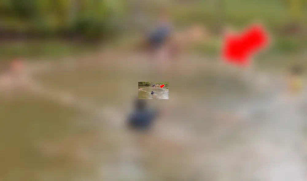 YouTube viral: Entran a pescar y quedan en shock al ver extrañas criaturas en su red [VIDEO]