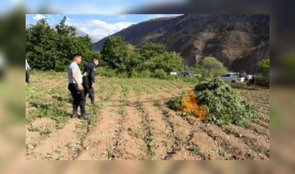 Los policías amontonaron los plantones y los prendieron fuego. Los policías amontonaron los plantones y los prendieron fuego.