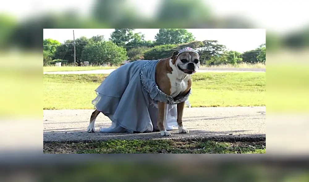 Desliza para ver los detalles de esta historia que se viralizó en Facebook. Foto: Captura. Desliza para ver los detalles de esta historia que se viralizó en Facebook. Foto: Captura.