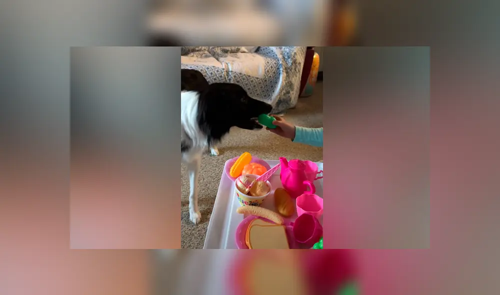 Desliza las imágenes para ver la curiosa escena que registró una madre entre su hija y su perro. Foto: ViralHog/YT Desliza las imágenes para ver la curiosa escena que registró una madre entre su hija y su perro. Foto: ViralHog/YT