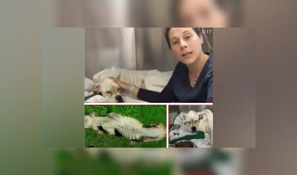 Desliza hacia la izquierda para ver las imágenes del viral de YouTube. Desliza hacia la izquierda para ver las imágenes del viral de YouTube.