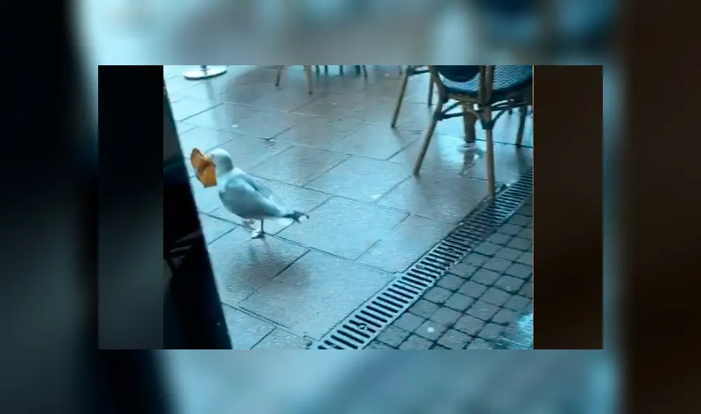 Desliza la imagen para verlas todas. Foto:  kerricoo1991 / TikTok