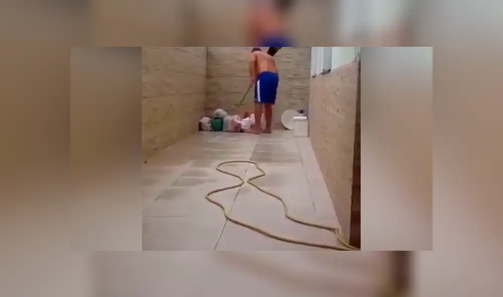 Facebook viral: rata 'trolea' a hombre que intenta atraparla y lo deja en ridículo [VIDEO]