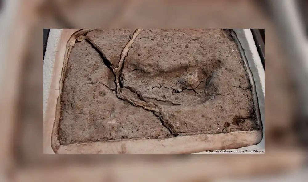 Hallan en Chile la primera huella humana más antigua de América [FOTOS]