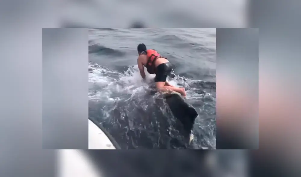 Mira la secuencia del video deslizando la imagen. Foto: Newsflare/YouTube Mira la secuencia del video deslizando la imagen. Foto: Newsflare/YouTube