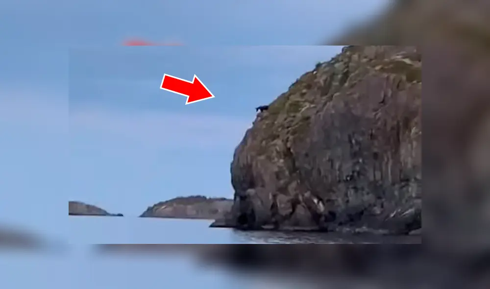 El alce tomó la radical decisión de lanzarse al acantilado frente a la mirada de unos jóvenes. Foto: captura El alce tomó la radical decisión de lanzarse al acantilado frente a la mirada de unos jóvenes. Foto: captura