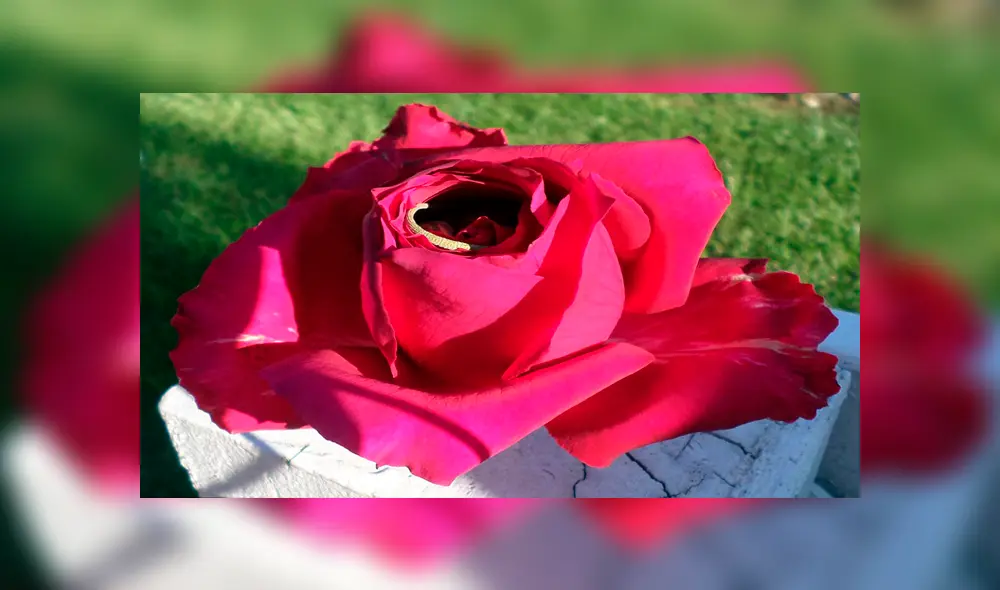 Desliza para ver los detalles de esta historia que se viralizó en Facebook. Foto: Captura.