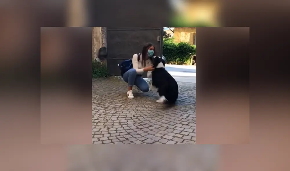 A través de Facebook se hizo viral el conmovedor reencuentro entre una joven y su perro.