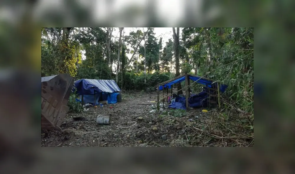 La Operación Tormenta 1 tiene como objetivo proteger el agua, la biodiversidad y los recursos naturales. (Foto: Fuerzas Armadas)