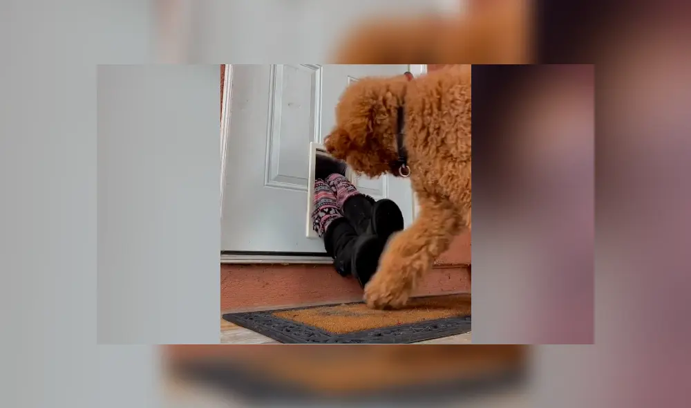 Desliza para ver todas las imágenes de Facebook. Foto: captura