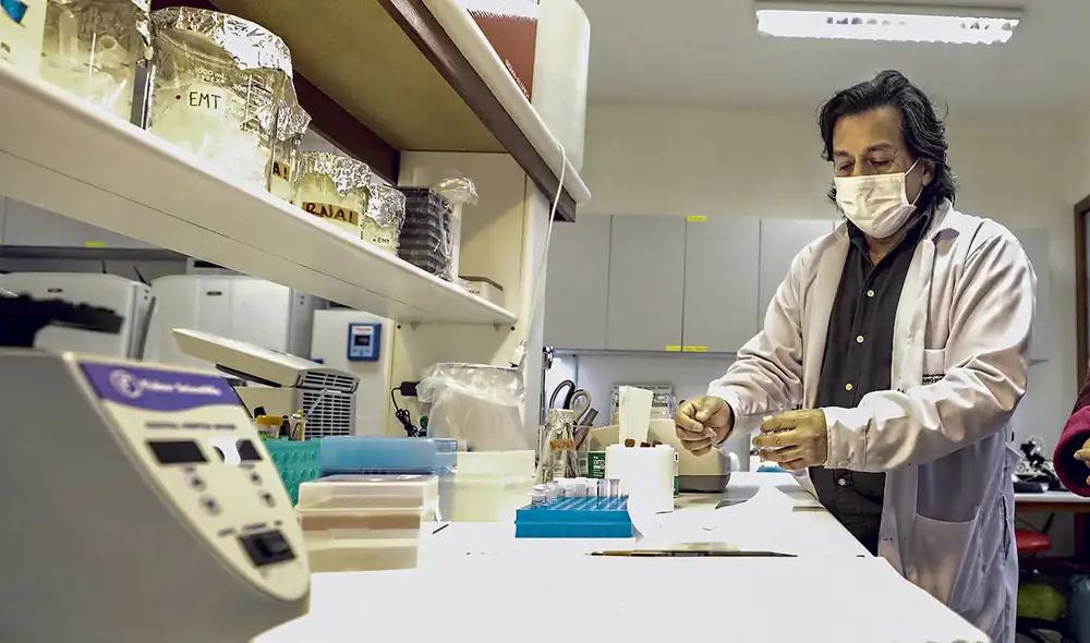 Avanza. Prueba molecular de Málaga está en la fase final. Avanza. Prueba molecular de Málaga está en la fase final.