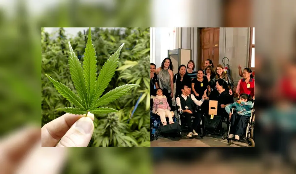 México: primer amparo para uso medicinal de marihuana medicinal