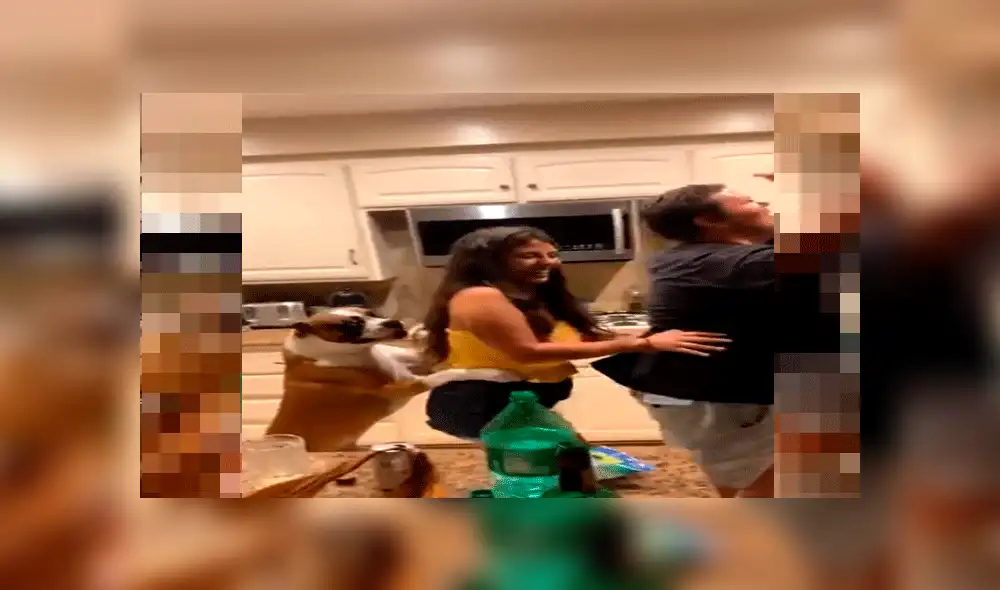 Pareja celebra su aniversario y su mascota se une para hacer “el baile del trencito” [VIDEO]