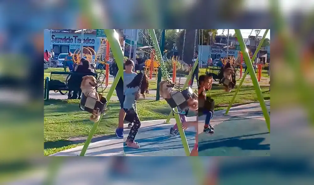 Facebook: perro disfruta a lo grande en parque de niños y causa ternura en la red [VIDEO]