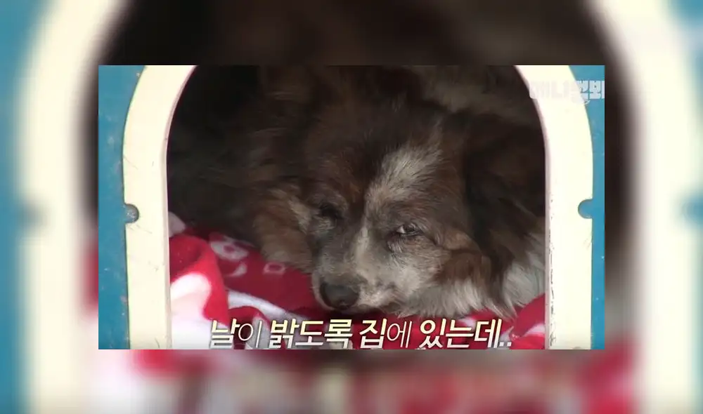 Desliza para ver detalles de esta historia que se viralizó en Facebook. Foto: Captura.