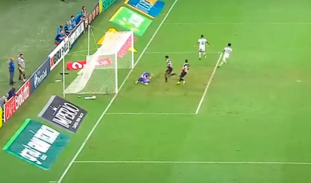 Fernando Pacheco Fernando Pacheco