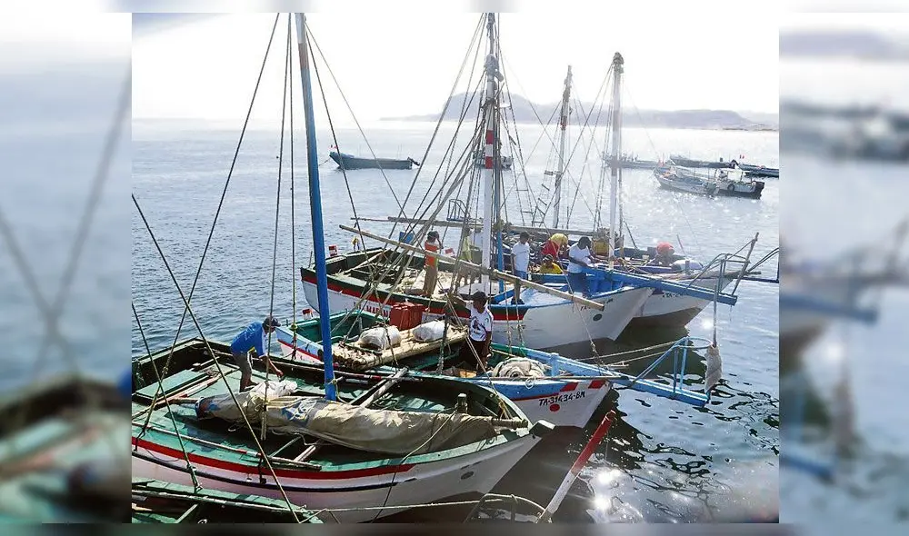 Atkins observa ordenanza de formalización de pesca