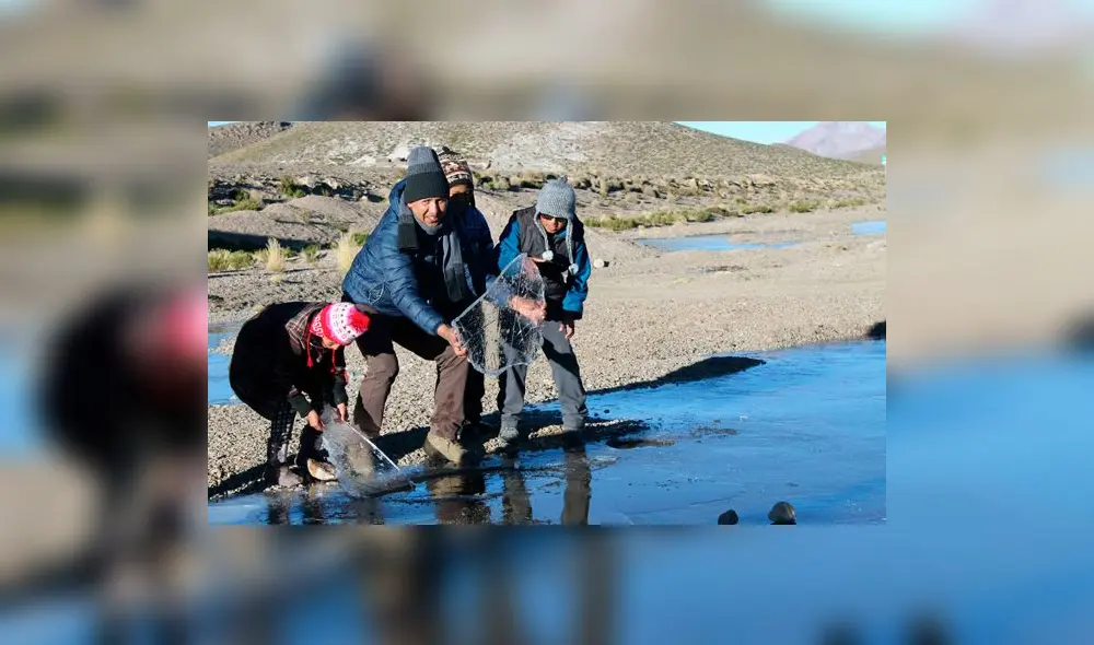 Heladas intensas: Arequipa y Puno soportaron valores de 21 grados bajo cero Heladas intensas: Arequipa y Puno soportaron valores de 21 grados bajo cero