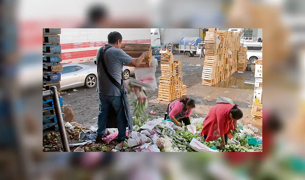 Festival Internacional de Cine de Medio Ambiente Festival Internacional de Cine de Medio Ambiente
