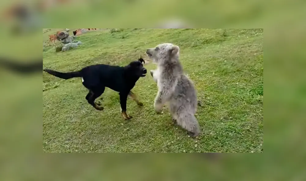 Desliza para ver los momentos más emotivos del video que se hizo viral en YouTube. Desliza para ver los momentos más emotivos del video que se hizo viral en YouTube.